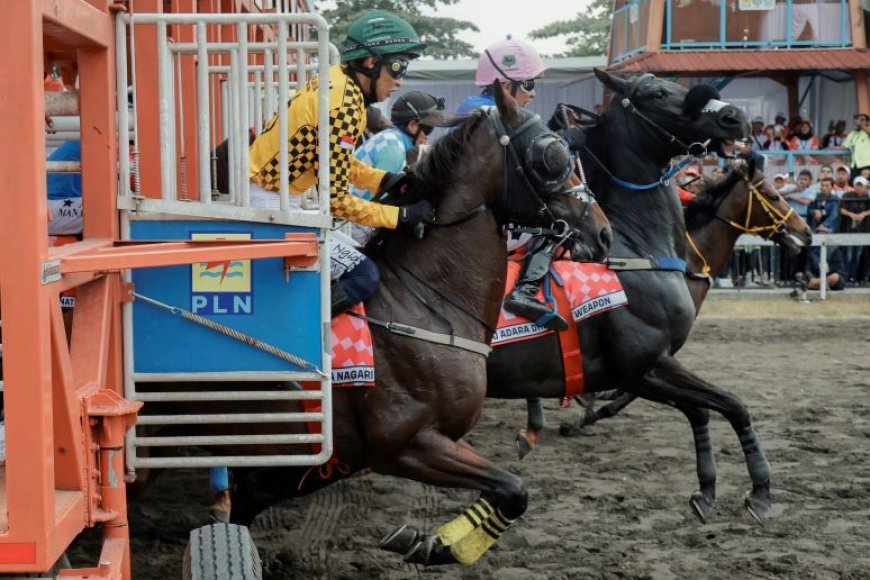 Maxi of Khalim Buka Jalan Menuju Gelar Triple Crown
