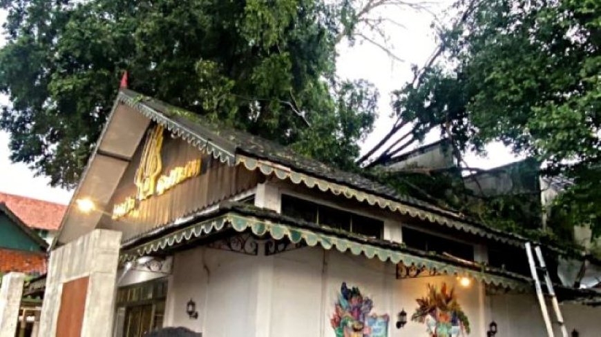 Sungai Meluap, Pohon Tumbang Merusak Bangunan