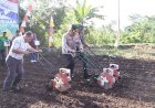 Sinergi Nyata Ketahanan Pangan: Kapolres Purworejo Tanam Jagung dan Beri Perlindungan Sosial untuk Petani
