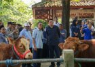 Menjelang Idul Adha, Ketersediaan Hewan Kurban Aman