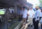 Stok Hewan Kurban di Bantul Cukup