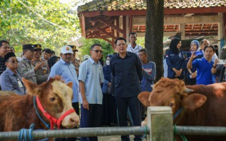 Menjelang Idul Adha, Ketersediaan Hewan Kurban Aman