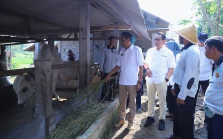 Stok Hewan Kurban di Bantul Cukup