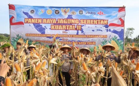 Dukung Ketahanan Pangan, Kapolres Purworejo Panen Raya Jagung Serentak Kuartal II Tahun 2026