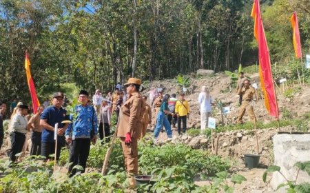 Ribuan Pohon Ditanam di Lereng Rawan Longsor Padukuhan Jono Gunungkidul