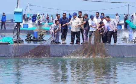 Kantor Tidak Perlu Mewah, Presiden Prabowo Panen Udang di Kebumen