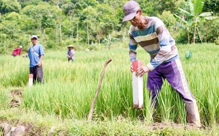 ​Pasang Patok Sekarang, Amankan Aset dan Hindari Konflik Batas Tanah