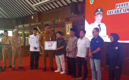 Diserahkan Bupati Klaten, Sapi Kurban dari Presiden Bobot 930 Kilogram