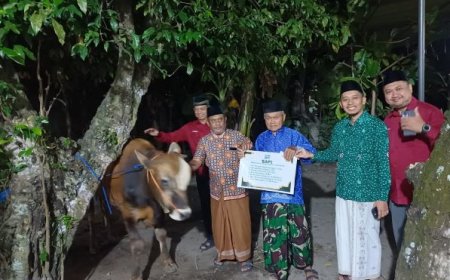 PDM dan RS PKU Bantul Serahkan Sapi Kurban Saat Malam Takbir