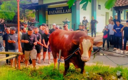 Sapi Jumbo 1,1 Ton Bertulis TIW Dikirim ke Masjid Komplek Amien Rais