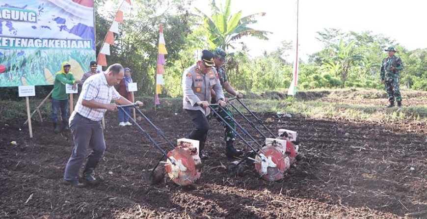 Sinergi Nyata Ketahanan Pangan: Kapolres Purworejo Tanam Jagung dan Beri Perlindungan Sosial untuk Petani