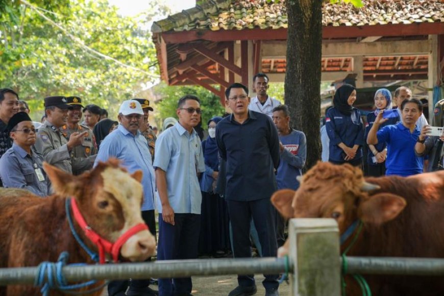 Menjelang Idul Adha, Ketersediaan Hewan Kurban Aman