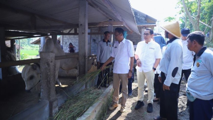 Stok Hewan Kurban di Bantul Cukup