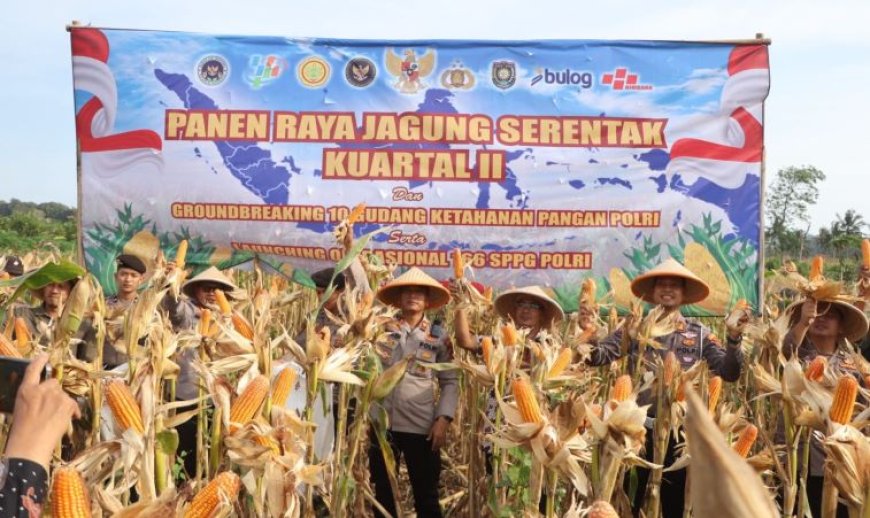 Dukung Ketahanan Pangan, Kapolres Purworejo Panen Raya Jagung Serentak Kuartal II Tahun 2026