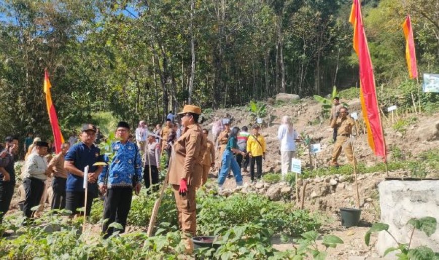 Ribuan Pohon Ditanam di Lereng Rawan Longsor Padukuhan Jono Gunungkidul