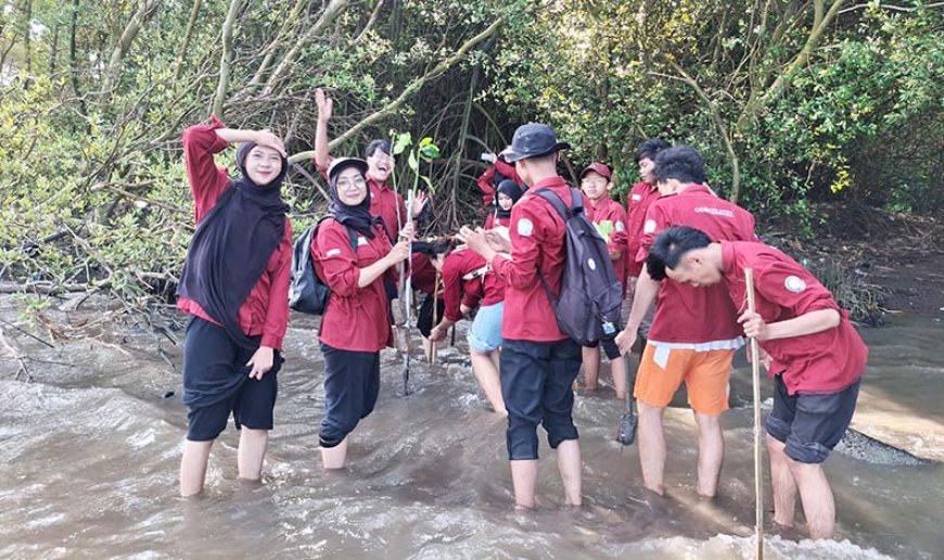 Gaya Keren Mahasiswa Geografi UNY, Turun ke Lumpur Baros Demi Selamatkan Pesisir Bantul