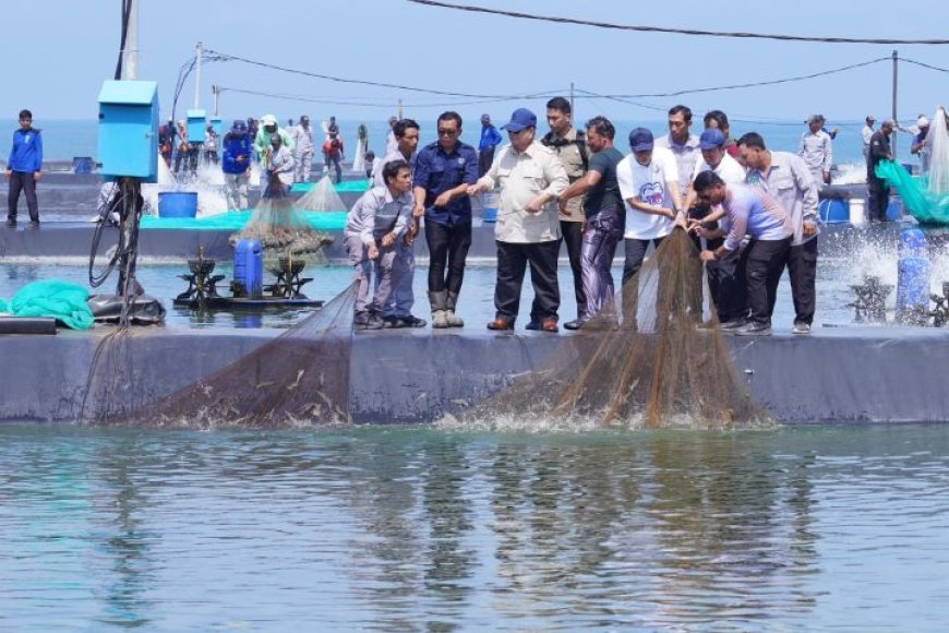 Kantor Tidak Perlu Mewah, Presiden Prabowo Panen Udang di Kebumen