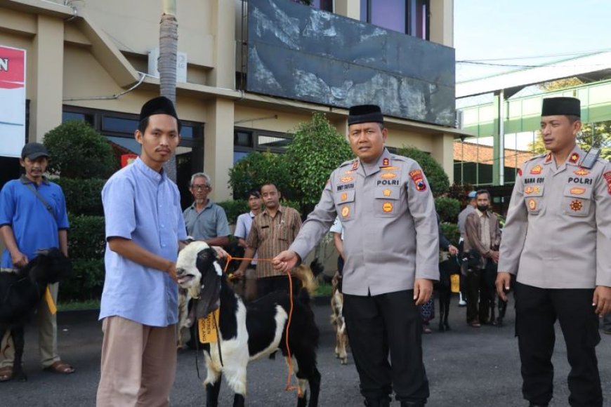 Polres Purworejo Bagikan Hewan Kurban 2 Sapi dan 22 Kambing