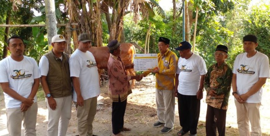 Lazismu BMT Artha Amanah Salurkan Kurban 4 Sapi dan 5 Kambing