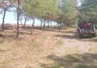 Gumuk Pasir Kebumen Rusak, Benteng Alami Mitigasi Tsunami di Pantai Selatan Terancam Hilang