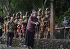 Penanaman Beringin Putih Awali Prosesi Lampah Dalu Lereng Merapi