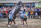 Festival Kuda Jingkrak Diproyeksikan Jadi Ikon Wisata Baru