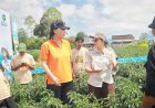 Bayer Bekali Petani Muda Magelang dengan Teknologi dan Akses Pasar
