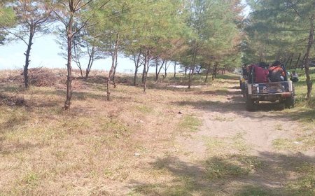 Gumuk Pasir Kebumen Rusak, Benteng Alami Mitigasi Tsunami di Pantai Selatan Terancam Hilang