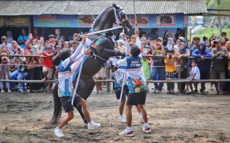 Festival Kuda Jingkrak Diproyeksikan Jadi Ikon Wisata Baru