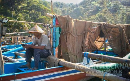 Baby Lobster Jadi Primadona Baru Nelayan Pantai Selatan Kebumen