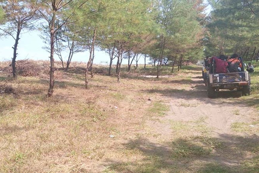 Gumuk Pasir Kebumen Rusak, Benteng Alami Mitigasi Tsunami di Pantai Selatan Terancam Hilang
