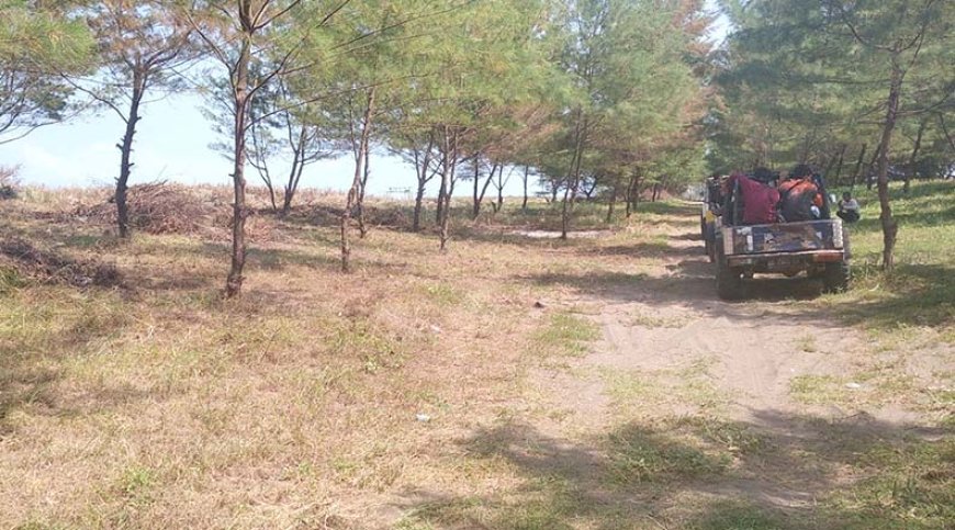 Gumuk Pasir Kebumen Rusak, Benteng Alami Mitigasi Tsunami di Pantai Selatan Terancam Hilang