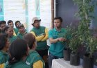 Bayer Kenalkan Camalus, Petani Tak Lagi Perlu Campur Dua Insektisida