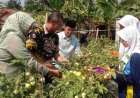 Jumakir Dorong Regenerasi Petani Lewat Pembelajaran Pertanian di Sekolah
