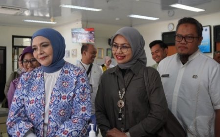 Lula Kamal: JKN Harus Lebih Fokus Cegah Penyakit daripada Mengobati