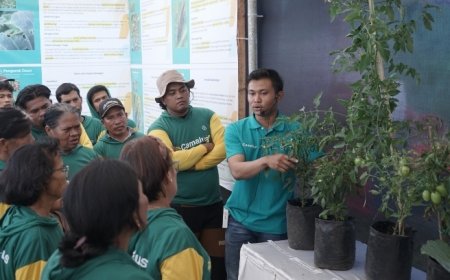 Bayer Kenalkan Camalus, Petani Tak Lagi Perlu Campur Dua Insektisida