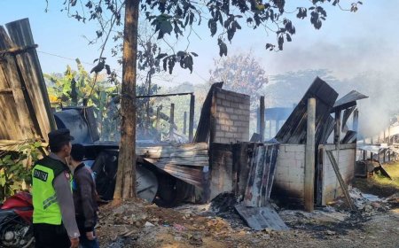 Kandang Ayam di Padureso Terbakar, Kerugian Peternak Capai Rp750 Juta