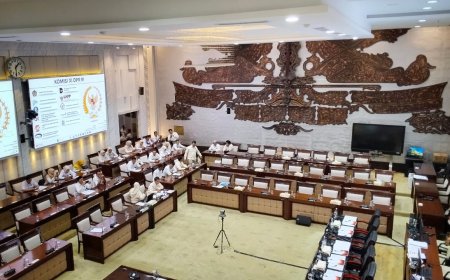 PPPK Paruh Waktu Sampaikan Aspirasi ke DPR RI, Bahas Kepastian Penggajian
