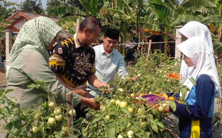 Jumakir Dorong Regenerasi Petani Lewat Pembelajaran Pertanian di Sekolah