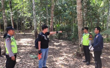 Penderes Nira Meninggal Jatuh dari Pohon Kelapa 20 Meter