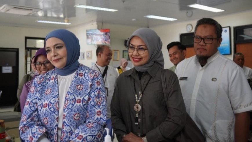 Lula Kamal: JKN Harus Lebih Fokus Cegah Penyakit daripada Mengobati