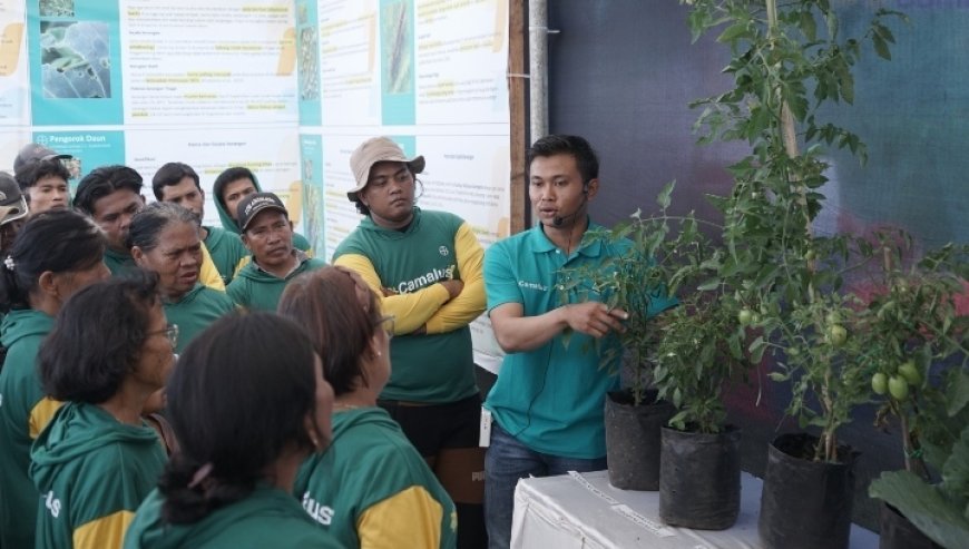 Bayer Kenalkan Camalus, Petani Tak Lagi Perlu Campur Dua Insektisida