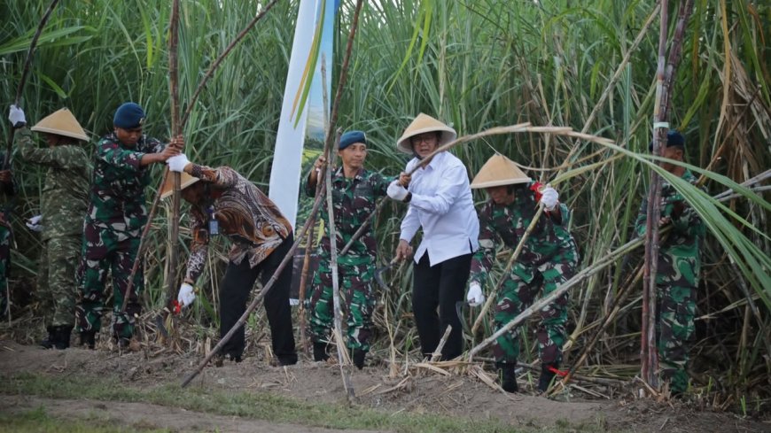 Dukung Ketahanan Pangan, Lanud Adisutjipto Panen Bersama Wabup Sleman