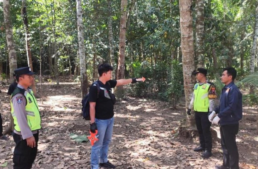 Penderes Nira Meninggal Jatuh dari Pohon Kelapa 20 Meter